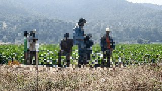 Macerata - Malore dopo il lavoro, morto bracciante pakistano